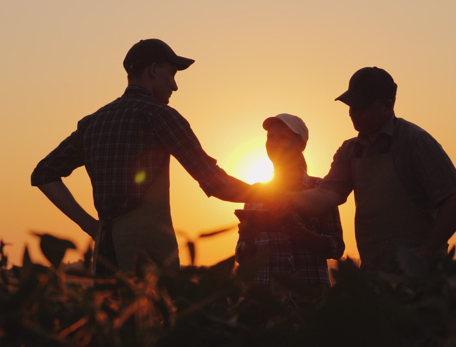 A group of farmers in the field, shaking hands. Family Agribusiness
