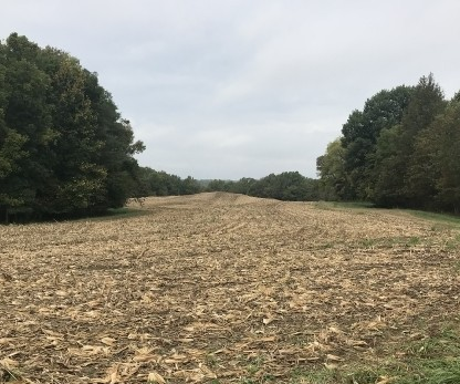 Agriculture field on a hunting lease.
