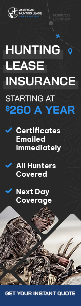 Affiliate Banner