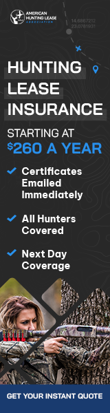 Affiliate Banner